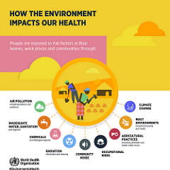 How Environment Impacts Health